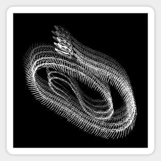 Snake skeleton / WHITE / Magnet